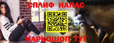 apvp Гагарин