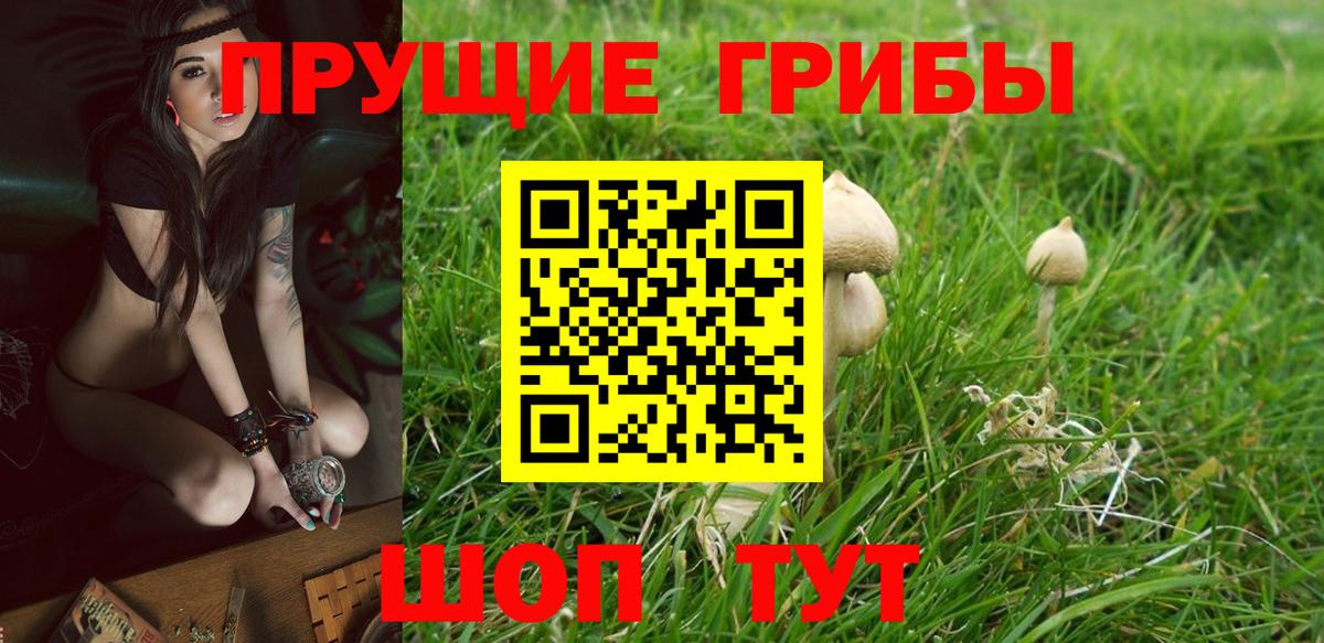 Псилоцибиновые грибы мухоморы Мариинск